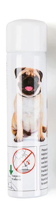 Citronella Spray Can