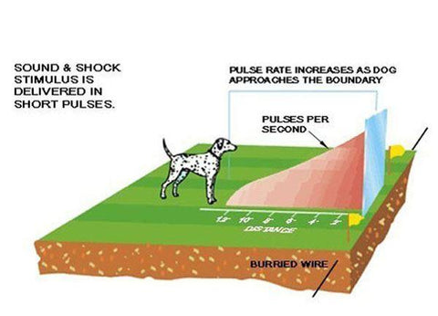 Electric Dog Fence - Waterproof Rechargeable (S / M / L Sizes)